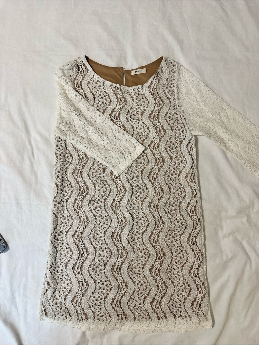 Everly Cream Lace Dress with Tan Lining